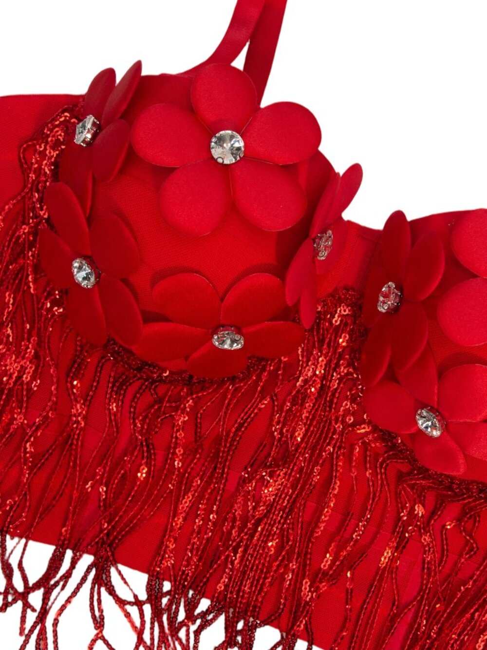Scarlet Bloom Fringe Corset Top - Picture 5 of 9